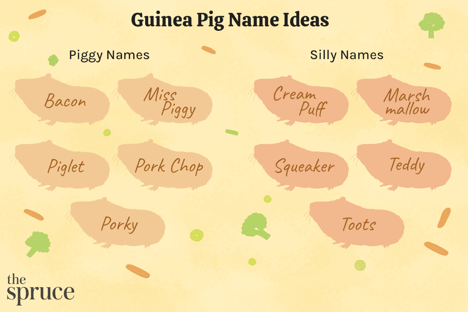 120 Guinea Pig Names for Your Distinctive Pet