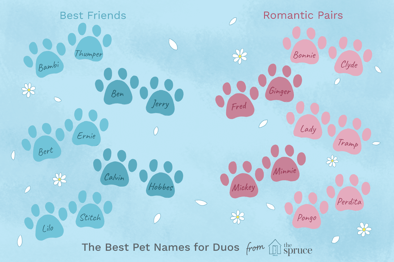 Clever Names For Pairs of Pets